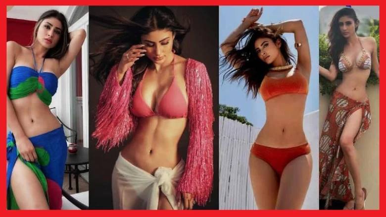 বিচ্ছেদের গুঞ্জনের অবসান, আলাদা হওয়ার ঘোষণা দিলেন মৌনি রায় ও সুরজ